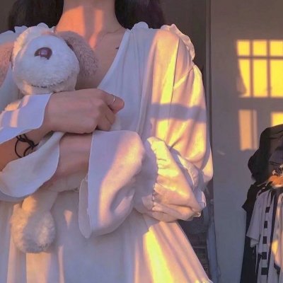 海柏利昂超能家族